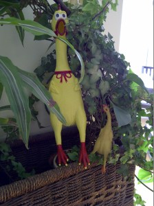 creepy chickens