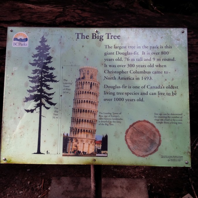 big tree sign