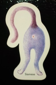 Yes, that is a cat’s-ass fridge magnet.