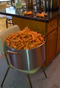 Yes, that is a 10-gallon pot full of carrots.