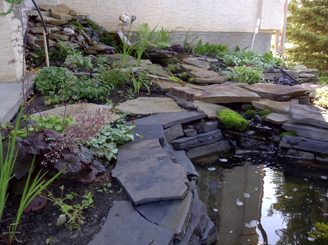 The pond last spring. It looks benign, but don’t inhale for a day or so…